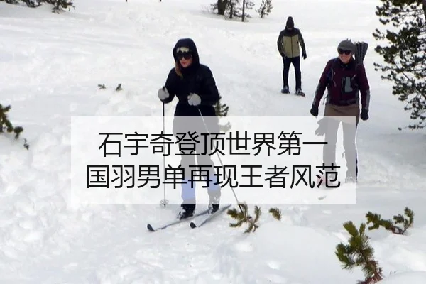 石宇奇登顶世界第一 国羽男单再现王者风范