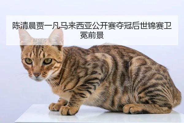 陈清晨贾一凡马来西亚公开赛夺冠后世锦赛卫冕前景