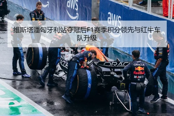维斯塔潘匈牙利站夺冠后F1赛季积分领先与红牛车队升级